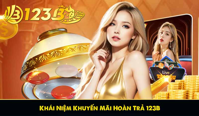 Khái Niệm Khuyến Mãi Hoàn Trả 123B