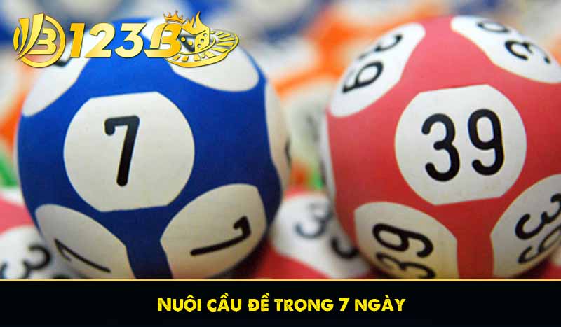 Nuôi cầu đề trong 7 ngày